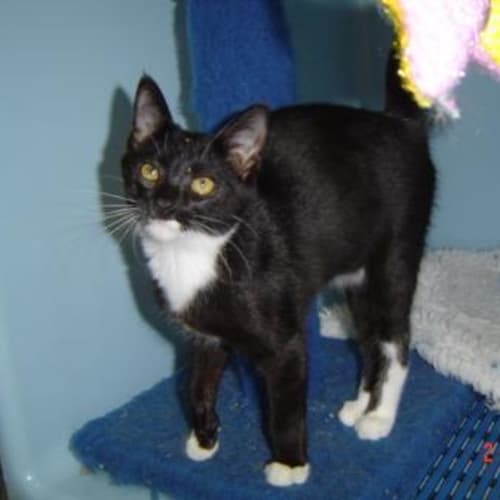 No photo for Petey & Mikey