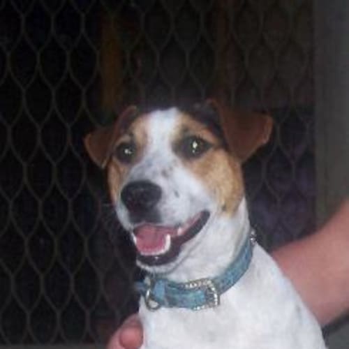 No photo for Jack   On Trial