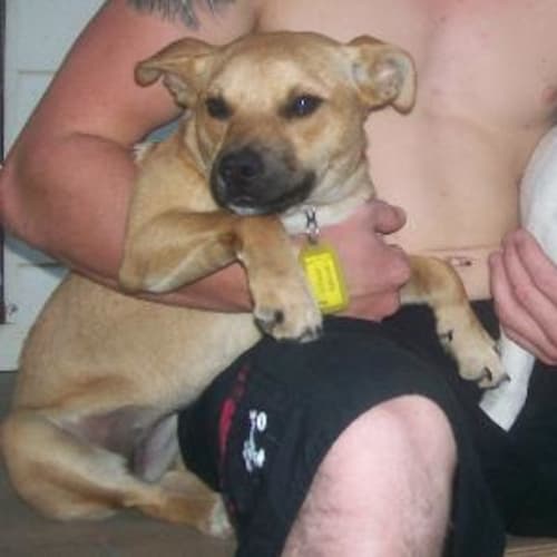 No photo for Jack And Deliah