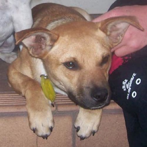 No photo for Deliah   On Trial