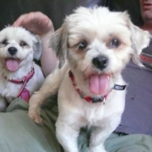 No photo for William & Winona