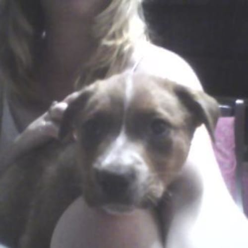 No photo for Ghost   On Trial 