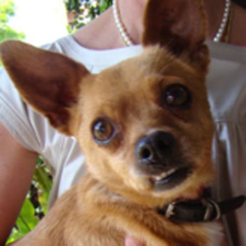 No photo for Lilo