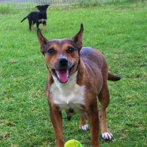 No photo for Jess On Hold