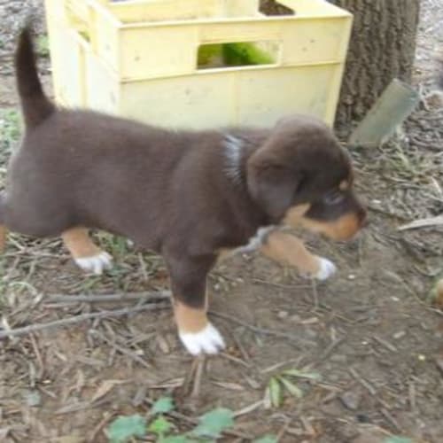 No photo for Whoopi On Hold