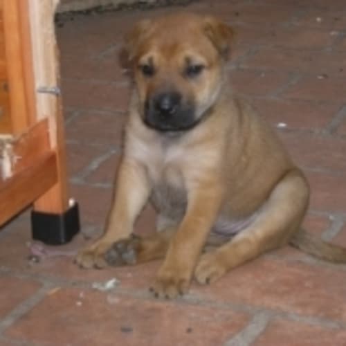 No photo for Coco On Hold