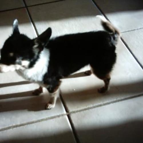 No photo for Minnie Mouse