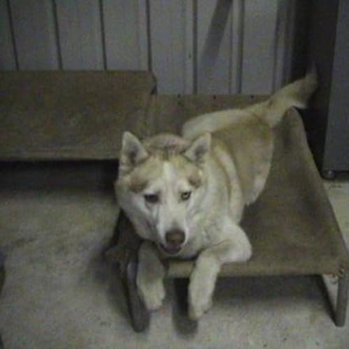 No photo for Romulus & Remus