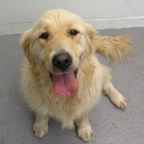 No photo for Sherbet