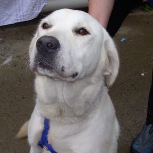 No photo for Orlando