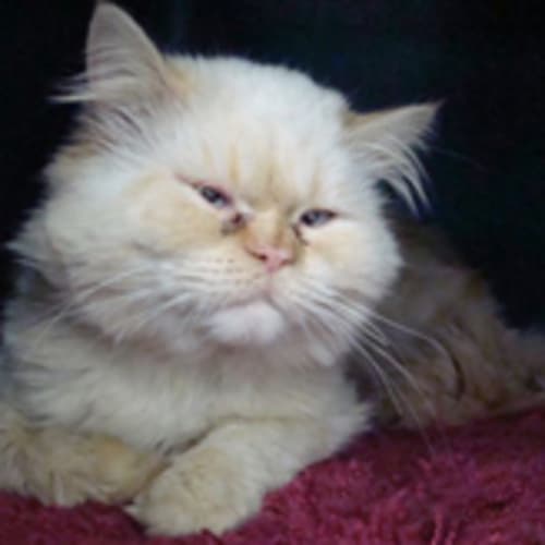 No photo for Sebastian