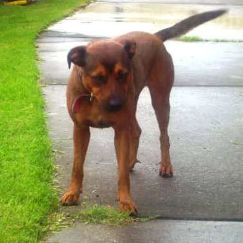 No photo for Edwina On Trial