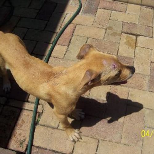 No photo for Jace "Is On Hold"