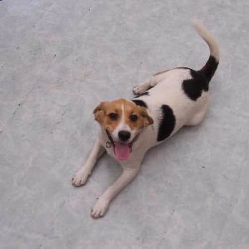 No photo for Max (On Trial)