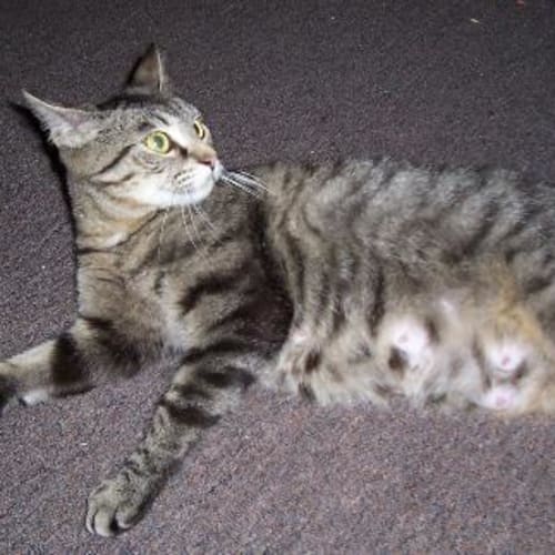 No photo for Becc