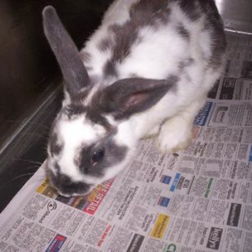 No photo for No Name Known