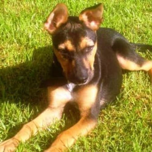 No photo for Keeva   On Trial