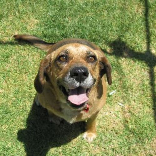 No photo for Ally (On Trial)