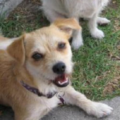 No photo for Happy & Honey