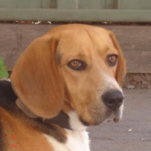 No photo for Prince ***On Trial***