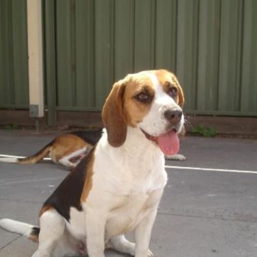 No photo for Trinity & Prince(on Trial)