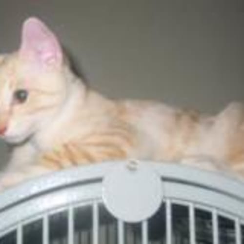 No photo for William