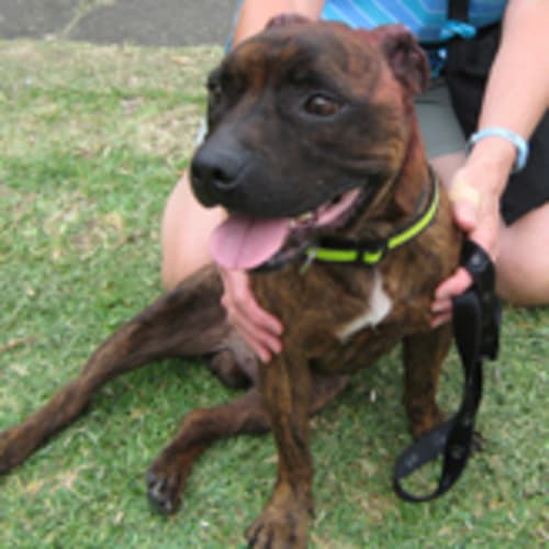 No photo for Sebastian