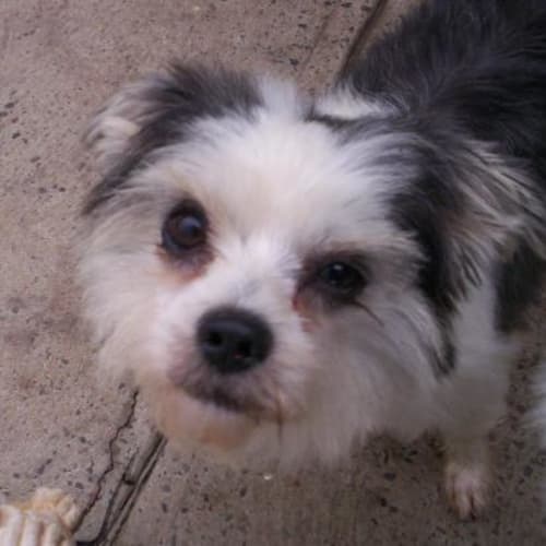 No photo for Chelsie