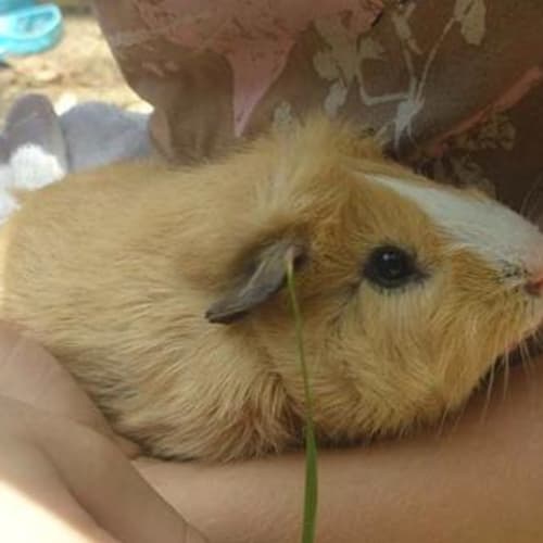 No photo for Cooper And Neilson