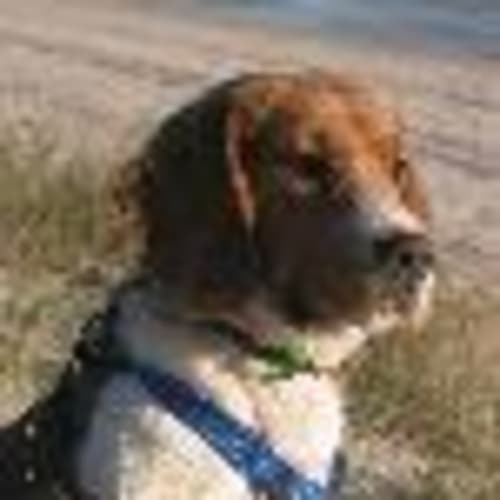 No photo for Gemma (On Trial With A New Family)