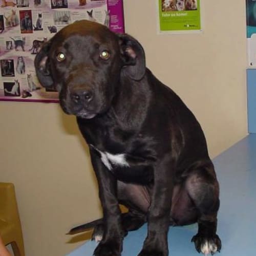 No photo for Sabrina