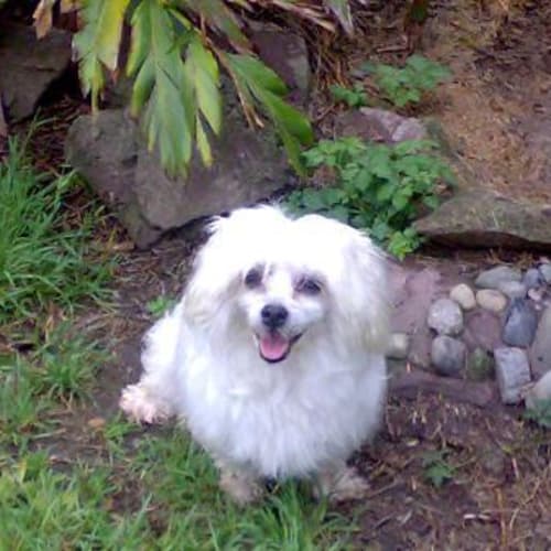 No photo for Mallie......Malabu On Trial