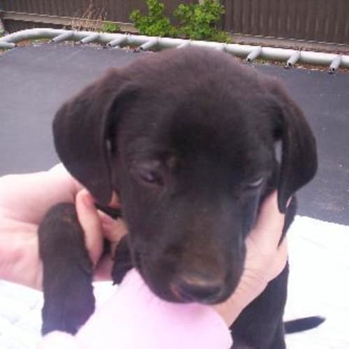 No photo for Estaban