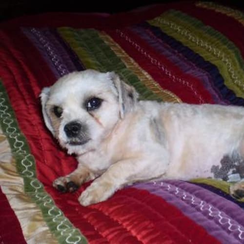 No photo for Tiffany