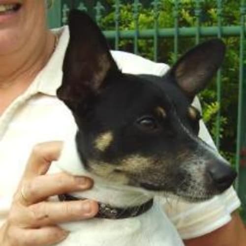 No photo for Stenner