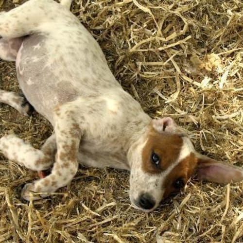 No photo for Juliette