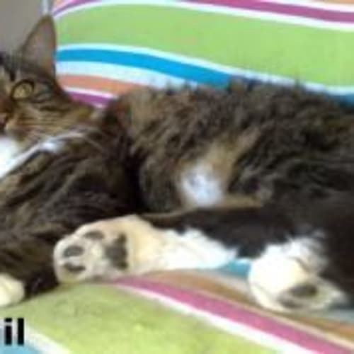 No photo for Abigail