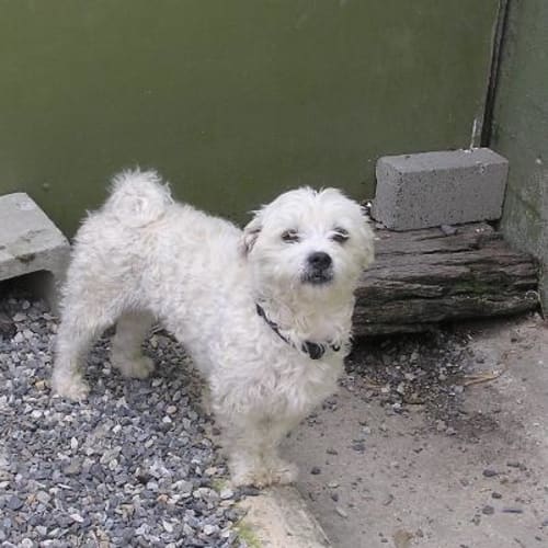 No photo for Charlie