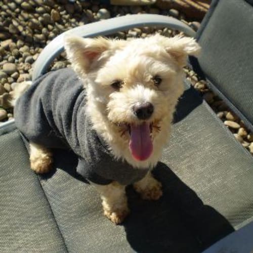 No photo for Malakai