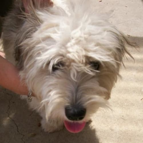 No photo for Charlie