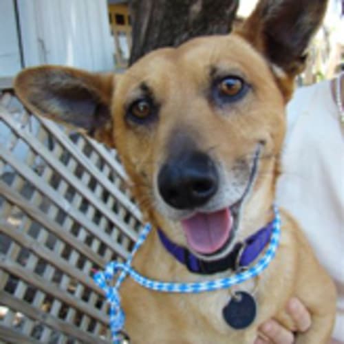 No photo for Murray (F)