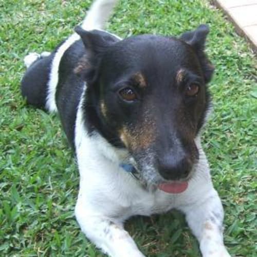Max