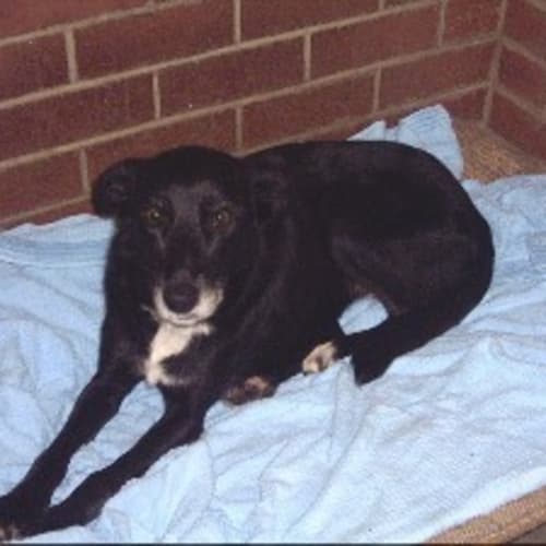 No photo for Chelsea