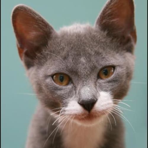 No photo for Jeffrey