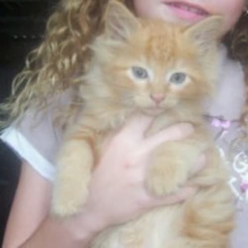 No photo for Garfield