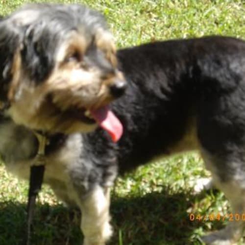 No photo for Lily