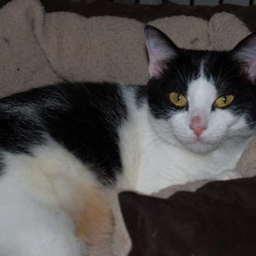 Jenny - Quiet Demure Loves To Be Stroked