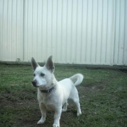 Zac Is Trying A New Home!!