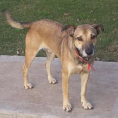 Duke Is Trying A New Home!!