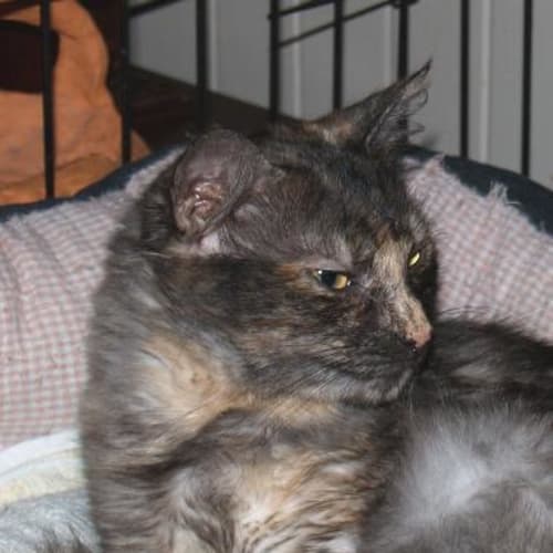 Sabrina